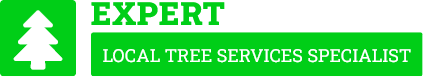 Kerikeri Tree Cutting - Tree Removal Kerikeri